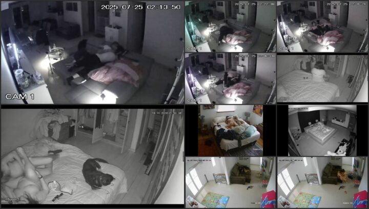 Hacked ipcam 409