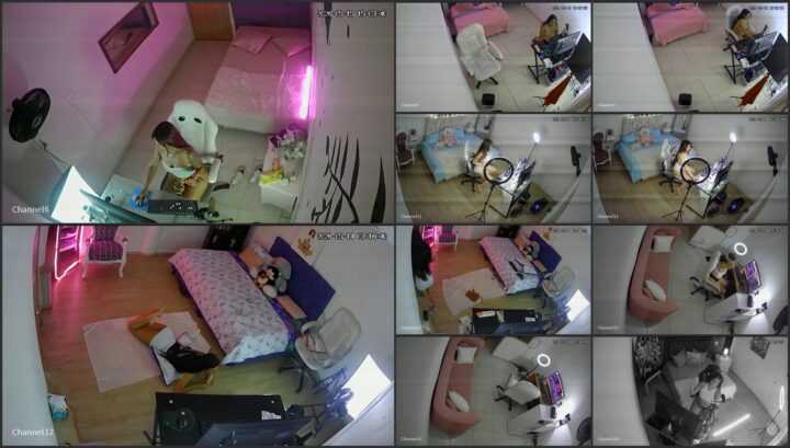 Hacked Ip Camera Studio Models 02